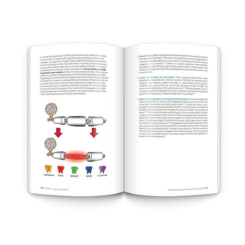 Integrating Manual Therapy and Pain Neuroscience: Twelve principles for treating the body and the brain