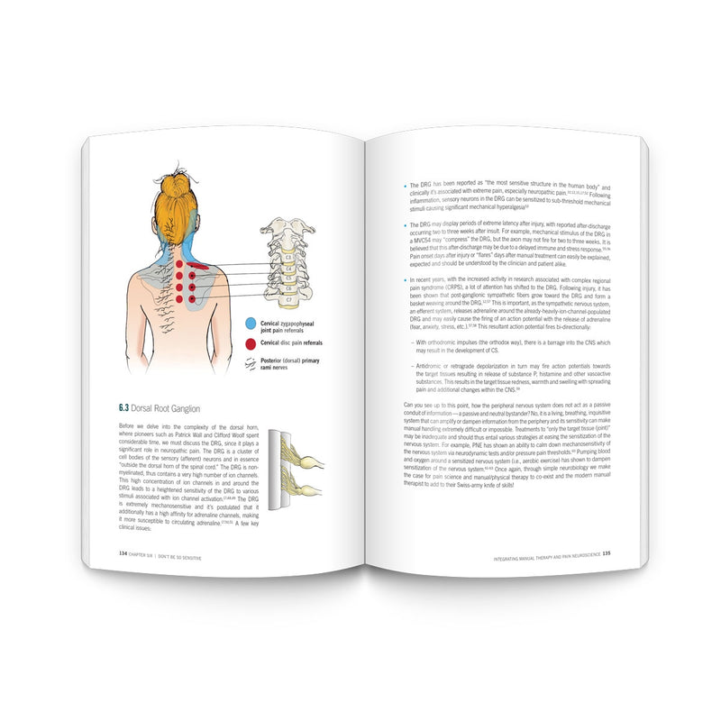 Integrating Manual Therapy and Pain Neuroscience: Twelve principles for treating the body and the brain