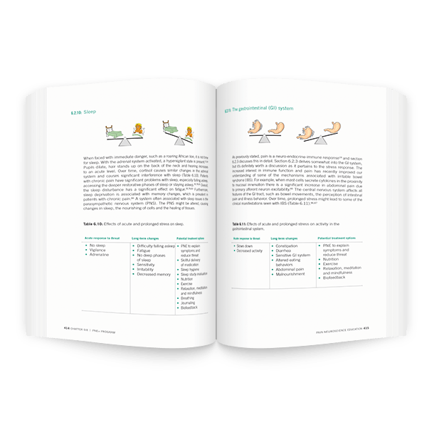 Pain Neuroscience Education: Teaching People About Pain
