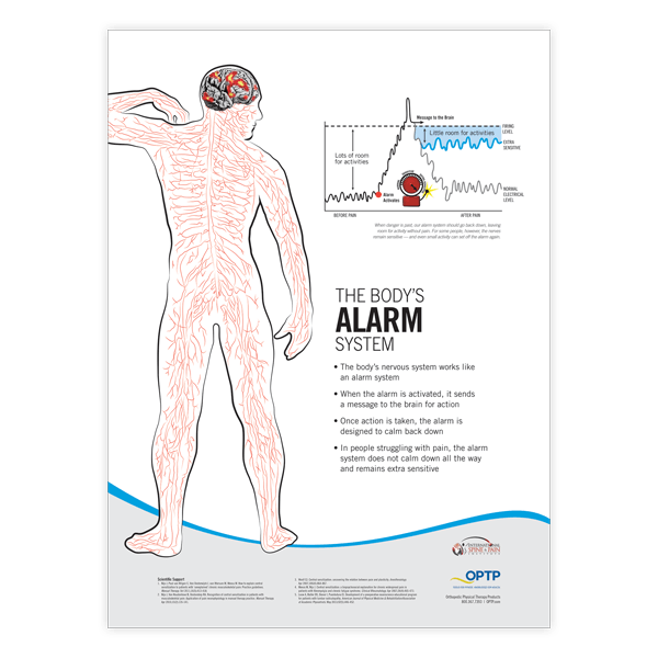 Pain Neuroscience Posters