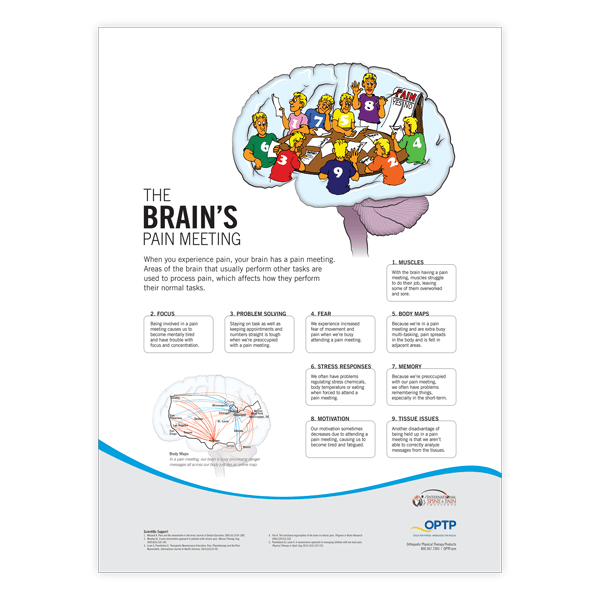Pain Neuroscience Posters