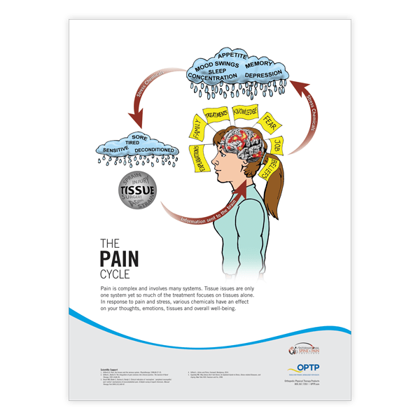 Pain Neuroscience Posters