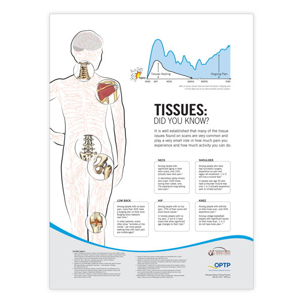 Pain Neuroscience Posters