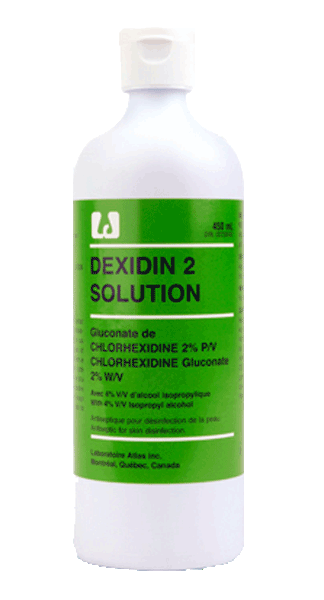 Ea/1 Dexidin 2 Antiseptic Solution 2% Chg 450Ml Tinted