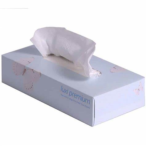 Cs/36Bx (Bx/100) Facial Tissue 2-Ply Standard 19Cm X 21Cm