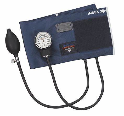 Ea/1 Pro Sphygmomanometer 760 Aneroid W/ Large Adult Cuff & Carry Case