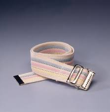 Transfer Belt 54 in