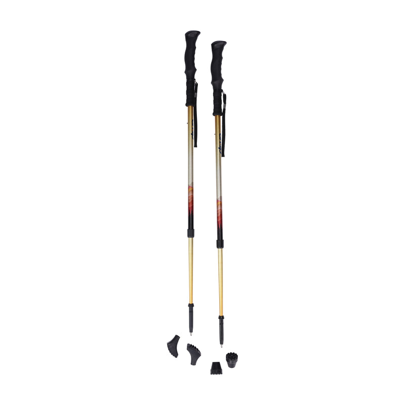 Drive Summit™ Walking Poles