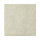 Opticell Ag+ Silver Antibacterial Gelling Fiber Wound Dressing